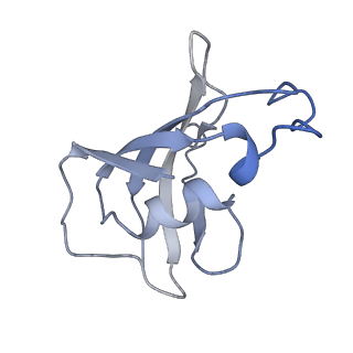 8382_5taq_J_v1-3
Structure of rabbit RyR1 (Caffeine/ATP/Ca2+ dataset, class 3&4)