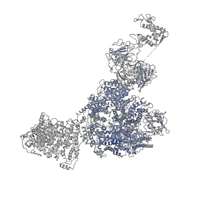 8384_5tat_B_v1-2
Structure of rabbit RyR1 (Caffeine/ATP/EGTA dataset, class 2)