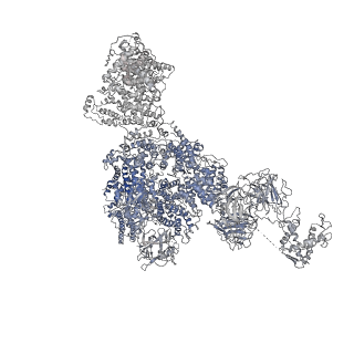 8384_5tat_E_v1-2
Structure of rabbit RyR1 (Caffeine/ATP/EGTA dataset, class 2)