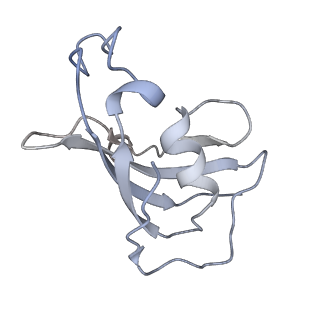 8384_5tat_H_v1-2
Structure of rabbit RyR1 (Caffeine/ATP/EGTA dataset, class 2)