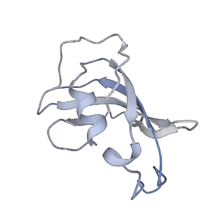 8386_5tav_A_v1-2
Structure of rabbit RyR1 (Caffeine/ATP/EGTA dataset, class 4)