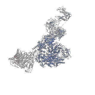 8386_5tav_B_v1-2
Structure of rabbit RyR1 (Caffeine/ATP/EGTA dataset, class 4)