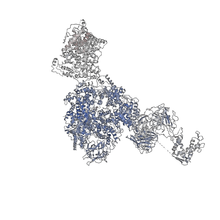 8386_5tav_E_v1-2
Structure of rabbit RyR1 (Caffeine/ATP/EGTA dataset, class 4)