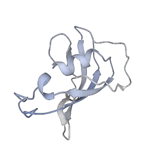 8386_5tav_F_v1-2
Structure of rabbit RyR1 (Caffeine/ATP/EGTA dataset, class 4)