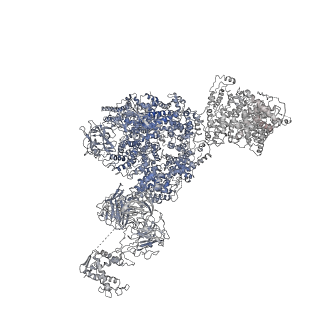8386_5tav_G_v1-2
Structure of rabbit RyR1 (Caffeine/ATP/EGTA dataset, class 4)