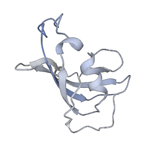 8386_5tav_H_v1-2
Structure of rabbit RyR1 (Caffeine/ATP/EGTA dataset, class 4)