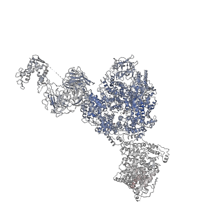 8386_5tav_I_v1-2
Structure of rabbit RyR1 (Caffeine/ATP/EGTA dataset, class 4)
