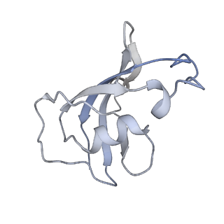 8386_5tav_J_v1-2
Structure of rabbit RyR1 (Caffeine/ATP/EGTA dataset, class 4)