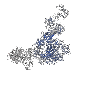 8387_5taw_B_v1-2
Structure of rabbit RyR1 (ryanodine dataset, all particles)