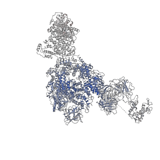 8387_5taw_E_v1-2
Structure of rabbit RyR1 (ryanodine dataset, all particles)