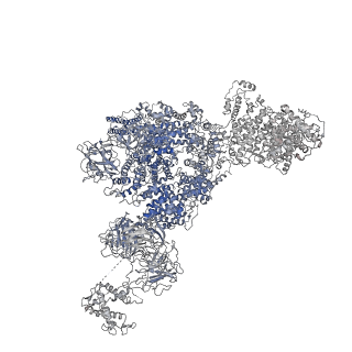 8387_5taw_G_v1-2
Structure of rabbit RyR1 (ryanodine dataset, all particles)