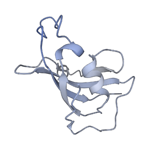 8387_5taw_H_v1-2
Structure of rabbit RyR1 (ryanodine dataset, all particles)