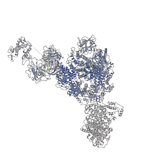 8387_5taw_I_v1-2
Structure of rabbit RyR1 (ryanodine dataset, all particles)
