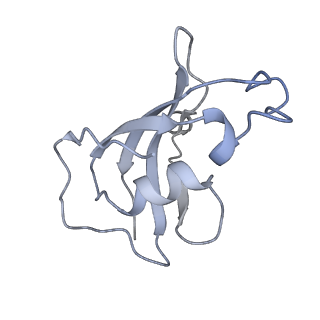 8387_5taw_J_v1-2
Structure of rabbit RyR1 (ryanodine dataset, all particles)