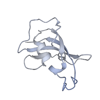 8389_5tay_A_v1-2
Structure of rabbit RyR1 (ryanodine dataset, class 2)