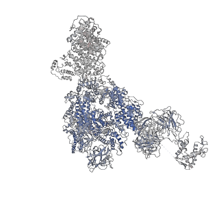 8389_5tay_E_v1-2
Structure of rabbit RyR1 (ryanodine dataset, class 2)