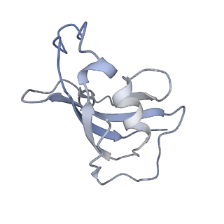 8389_5tay_H_v1-2
Structure of rabbit RyR1 (ryanodine dataset, class 2)