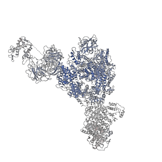 8389_5tay_I_v1-2
Structure of rabbit RyR1 (ryanodine dataset, class 2)