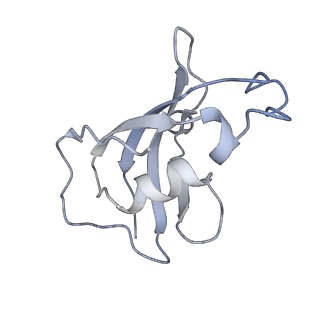 8389_5tay_J_v1-2
Structure of rabbit RyR1 (ryanodine dataset, class 2)