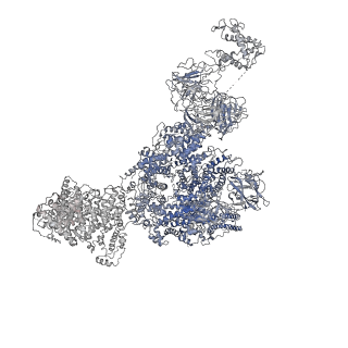 8390_5taz_B_v1-2
Structure of rabbit RyR1 (ryanodine dataset, class 3)