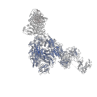 8390_5taz_E_v1-2
Structure of rabbit RyR1 (ryanodine dataset, class 3)