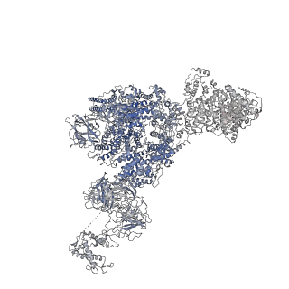8390_5taz_G_v1-2
Structure of rabbit RyR1 (ryanodine dataset, class 3)