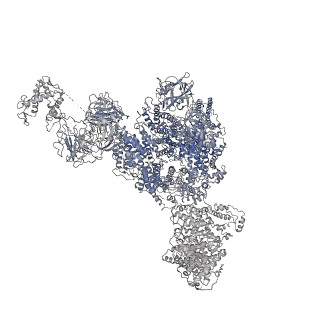 8390_5taz_I_v1-2
Structure of rabbit RyR1 (ryanodine dataset, class 3)
