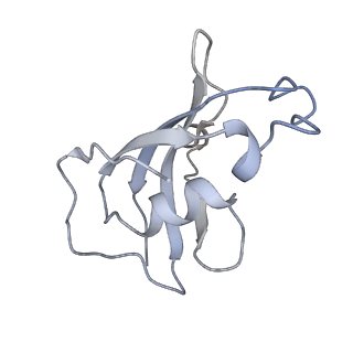 8390_5taz_J_v1-2
Structure of rabbit RyR1 (ryanodine dataset, class 3)