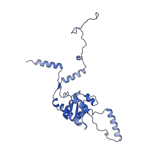 10431_6tb3_AA_v1-1
yeast 80S ribosome in complex with the Not5 subunit of the CCR4-NOT complex