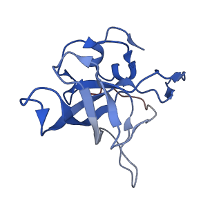 10431_6tb3_AB_v1-1
yeast 80S ribosome in complex with the Not5 subunit of the CCR4-NOT complex