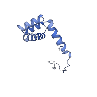 10431_6tb3_AC_v1-1
yeast 80S ribosome in complex with the Not5 subunit of the CCR4-NOT complex