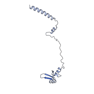 10431_6tb3_AE_v1-1
yeast 80S ribosome in complex with the Not5 subunit of the CCR4-NOT complex