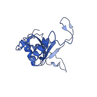 10431_6tb3_AG_v1-1
yeast 80S ribosome in complex with the Not5 subunit of the CCR4-NOT complex