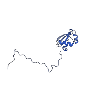 10431_6tb3_AH_v1-1
yeast 80S ribosome in complex with the Not5 subunit of the CCR4-NOT complex
