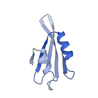 10431_6tb3_AI_v1-1
yeast 80S ribosome in complex with the Not5 subunit of the CCR4-NOT complex