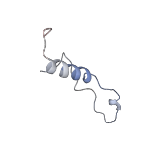 10431_6tb3_AL_v1-1
yeast 80S ribosome in complex with the Not5 subunit of the CCR4-NOT complex