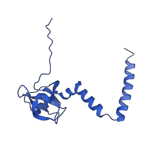 10431_6tb3_AM_v1-1
yeast 80S ribosome in complex with the Not5 subunit of the CCR4-NOT complex