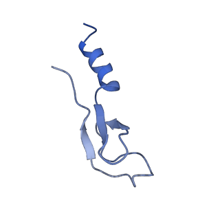 10431_6tb3_AO_v1-1
yeast 80S ribosome in complex with the Not5 subunit of the CCR4-NOT complex