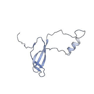 10431_6tb3_AP_v1-1
yeast 80S ribosome in complex with the Not5 subunit of the CCR4-NOT complex