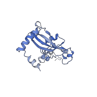 10431_6tb3_AQ_v1-1
yeast 80S ribosome in complex with the Not5 subunit of the CCR4-NOT complex