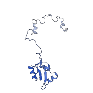 10431_6tb3_AR_v1-1
yeast 80S ribosome in complex with the Not5 subunit of the CCR4-NOT complex