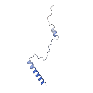 10431_6tb3_AV_v1-1
yeast 80S ribosome in complex with the Not5 subunit of the CCR4-NOT complex