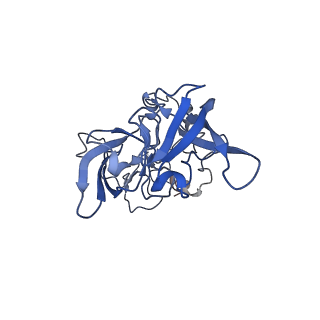 10431_6tb3_AW_v1-1
yeast 80S ribosome in complex with the Not5 subunit of the CCR4-NOT complex