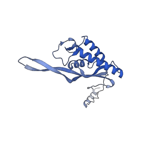 10431_6tb3_AX_v1-1
yeast 80S ribosome in complex with the Not5 subunit of the CCR4-NOT complex
