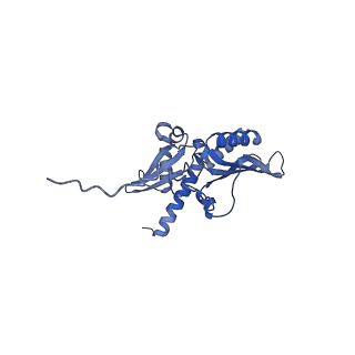 10431_6tb3_A_v1-1
yeast 80S ribosome in complex with the Not5 subunit of the CCR4-NOT complex