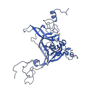 10431_6tb3_BA_v1-1
yeast 80S ribosome in complex with the Not5 subunit of the CCR4-NOT complex