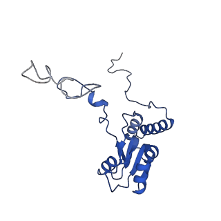 10431_6tb3_BB_v1-1
yeast 80S ribosome in complex with the Not5 subunit of the CCR4-NOT complex