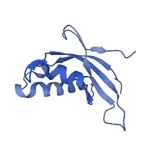 10431_6tb3_BC_v1-1
yeast 80S ribosome in complex with the Not5 subunit of the CCR4-NOT complex