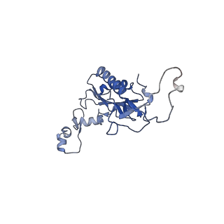 10431_6tb3_BD_v1-1
yeast 80S ribosome in complex with the Not5 subunit of the CCR4-NOT complex
