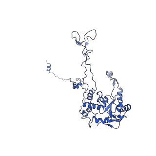 10431_6tb3_BE_v1-1
yeast 80S ribosome in complex with the Not5 subunit of the CCR4-NOT complex